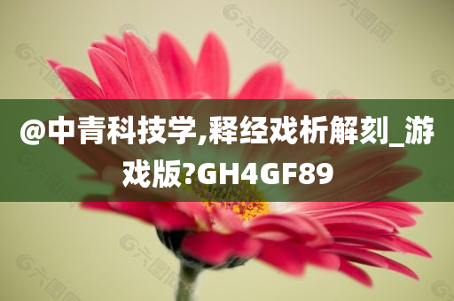 @中青科技学,释经戏析解刻_游戏版?GH4GF89