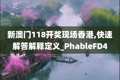 新澳门118开奖现场香港,快速解答解释定义_PhableFD4